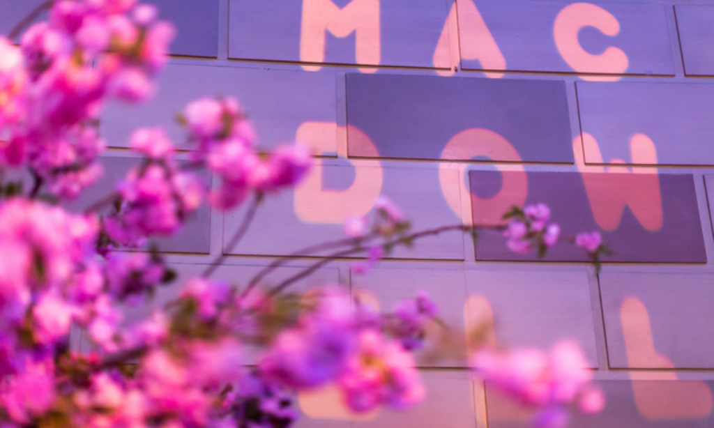In the foreground, a bouquet of flowers. In the background, the MacDowell logo is projected onto a large wall