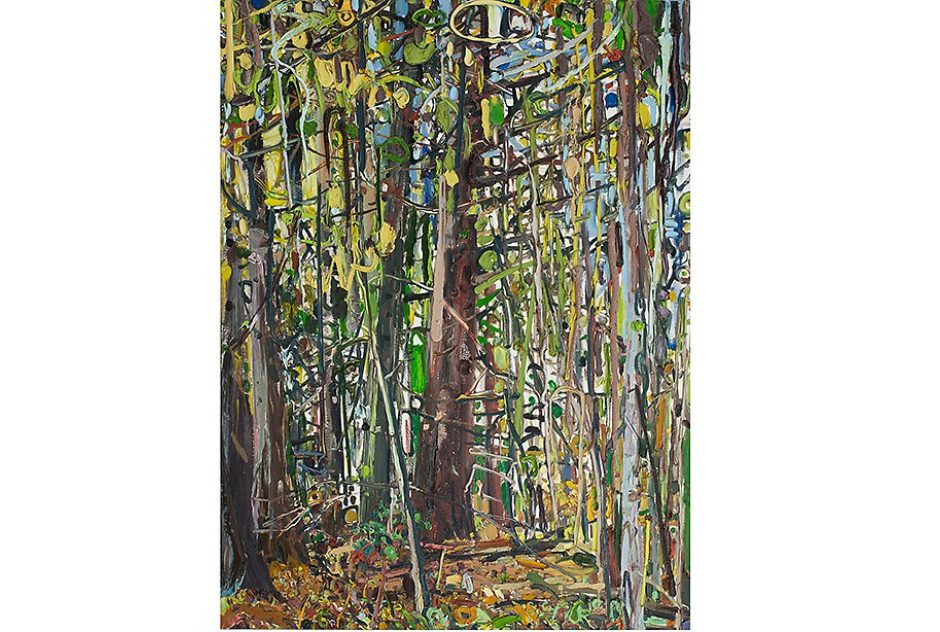 A painting of a forest during the daytime