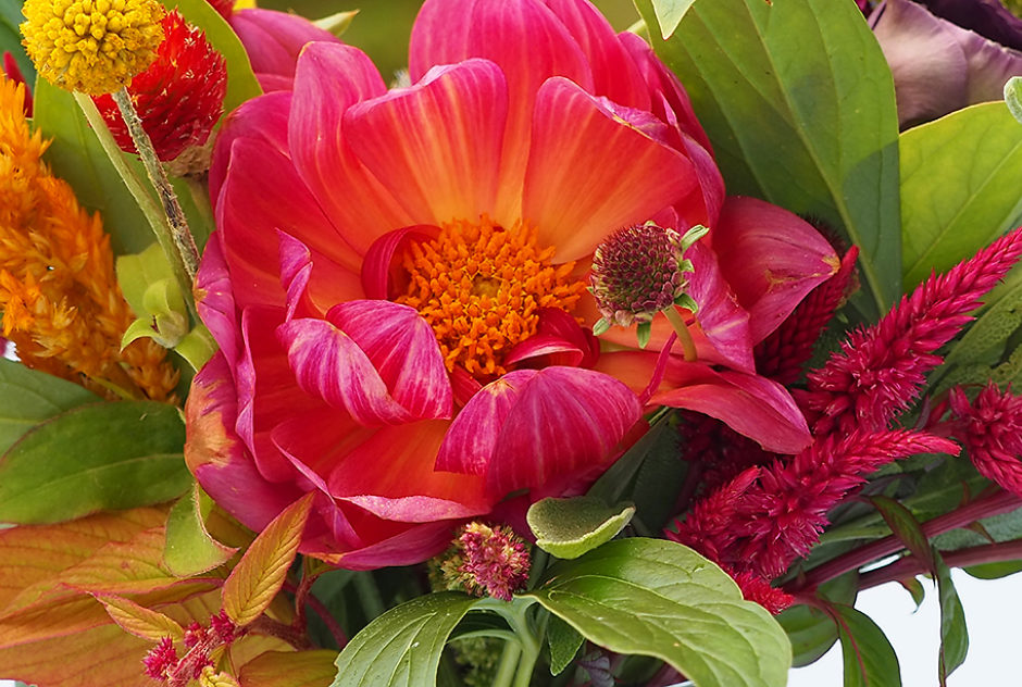 A stunning bouquet of flowers made up of bright pinks and yellows