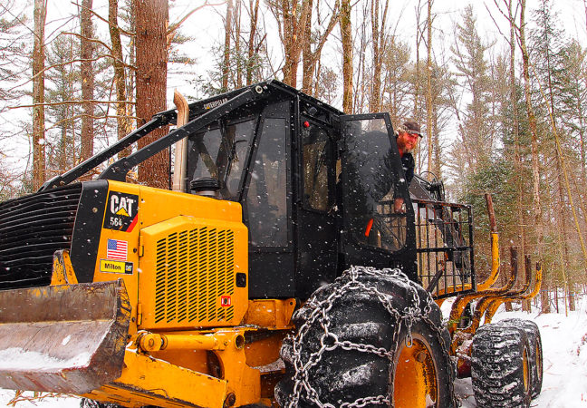 Tree Harvest at MacDowell Colony to Revitalize Depleted Woodland