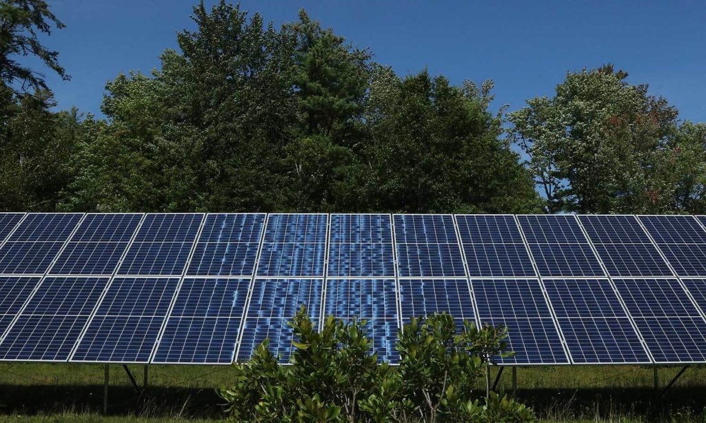 Close up shot of the panels on the solar array. The wide, dark panels are placed in a small field surrounded by tall trees