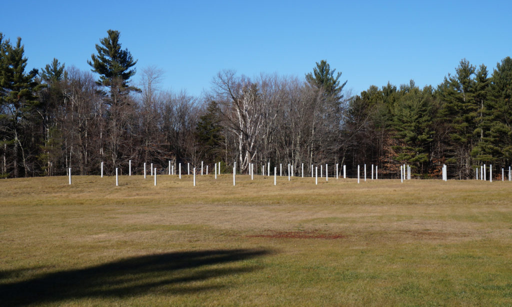 The posts for MacDowell's new solar array installed in a large field. The structures are awaiting the installation of the solcar panels.