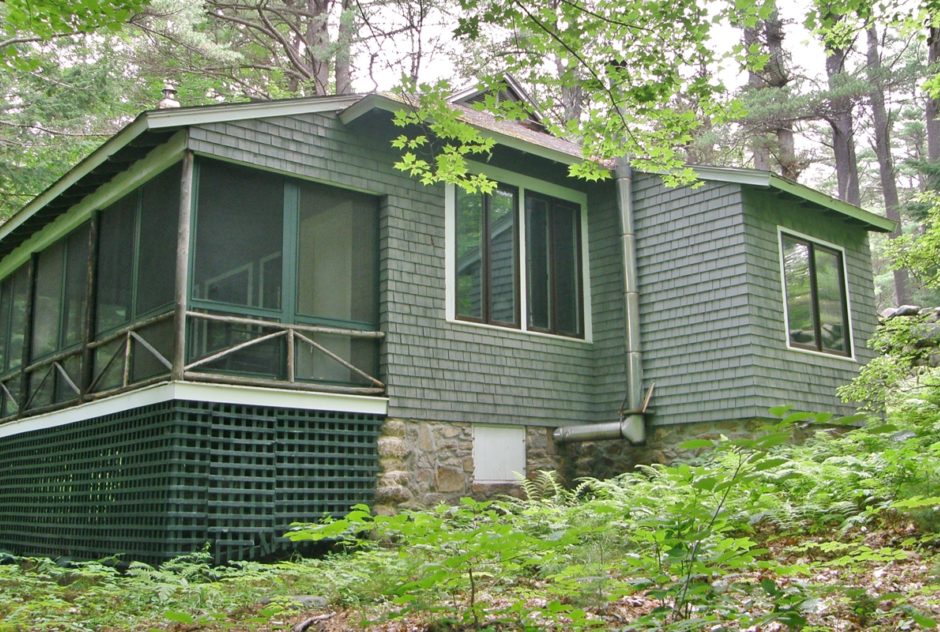 Cheney Studio in summer 2015 surrounded by ferns