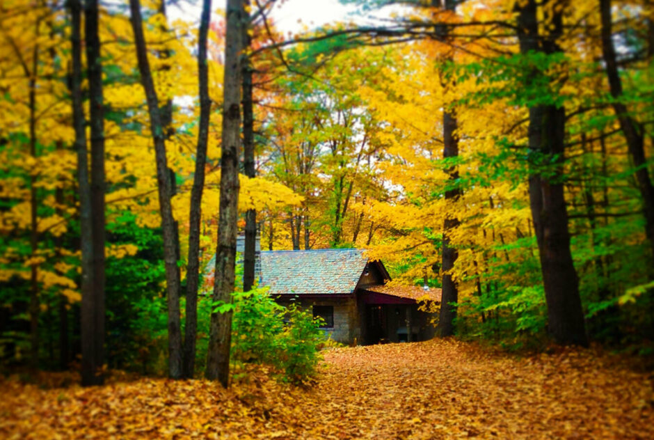 Mixter studio in the fall. The building, seen from afar, is nestled into a dense forest that is littered with brightly colored leaves. The trees, with their yellow leaves, seem to glow.