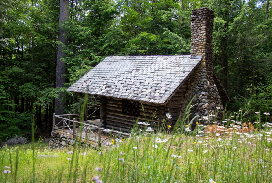 Edward MAcDowell's log cabin sits partway down a small hill that leads into a dense pine forest. The slate roof and stone chimney appear to glow against the forest. At the top of the hill, a meadow of grasses and wildflowers grow.