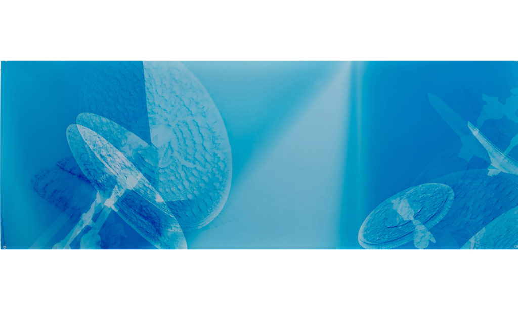 Soundscape 25, 2015 - unique chromogenic photogram from constructed negatives; 24 x 64 inches