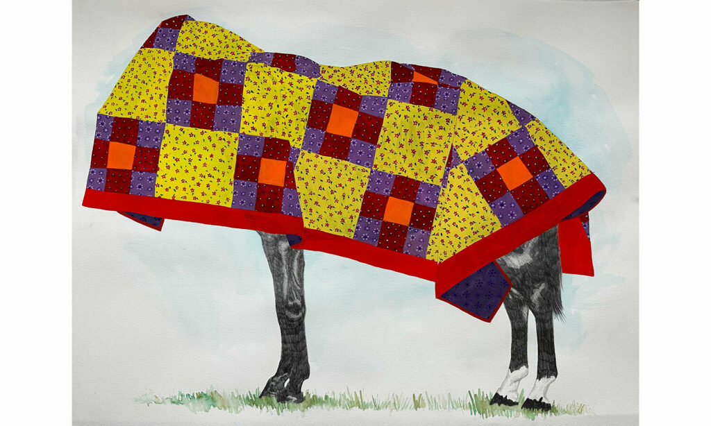 Graphite drawing of a horse covered by colorful quilt painted in gouache