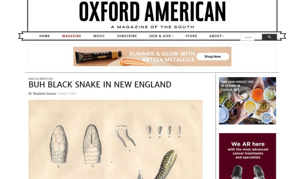 BUH BLACK SNAKE IN NEW ENGLAND - Tap to Read