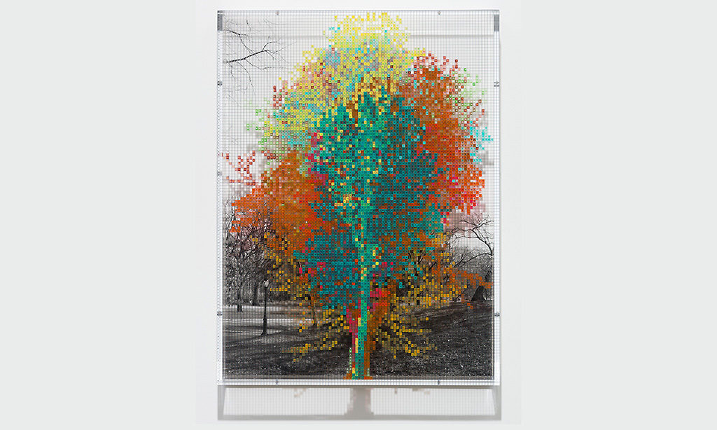 Numbers and Trees: Central Park Series III: Tree #9, Suzy - Acrylic sheet, acrylic paint, and photograph; 32 x 24 x 3 1/2 inches; 2016