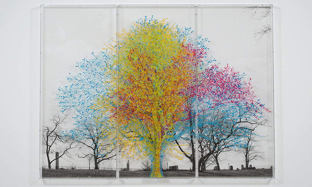 Numbers and Trees: Central Park Series II: Tree #4 Steve - Acrylic sheet, acrylic paint, photograph; 95 x 126 1/2 inches; 2016
