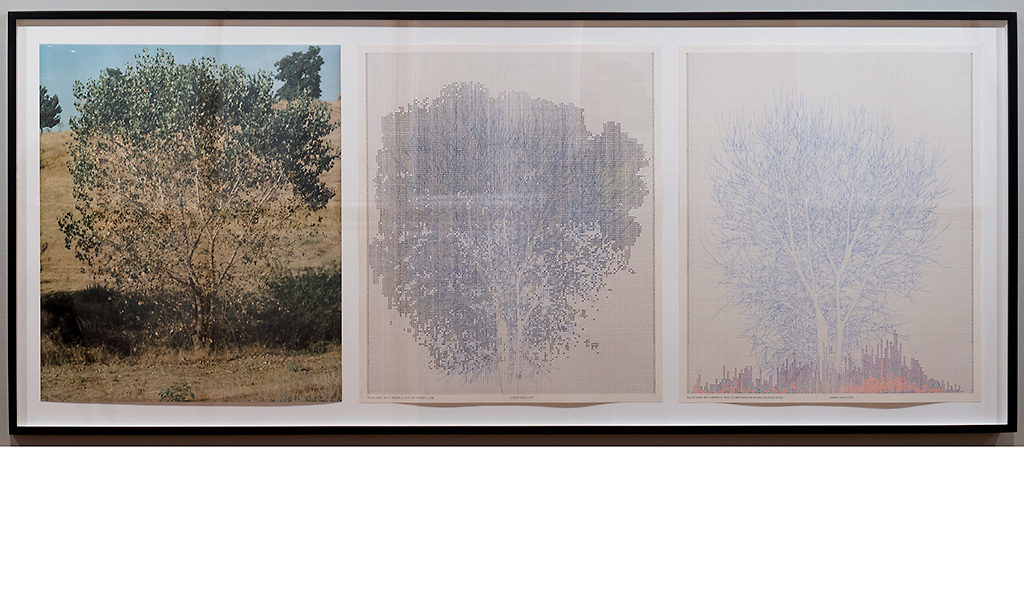 Falling Leaves Set 5 - Photographs, ink on paper; 22.5 x 66 1/2 inches (framed); 1979