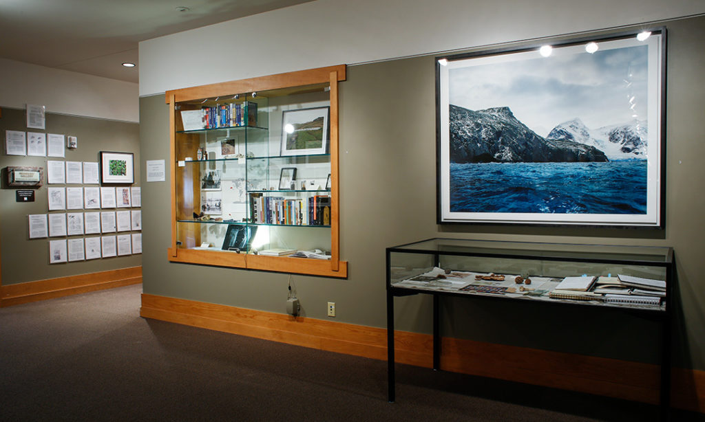 Installation view of "Oldest Living Things in the World" at the National Museum of Wildlife Art