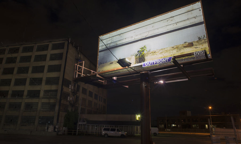 Uncultivated, public billboard, Grand Rapids, MI, 2015