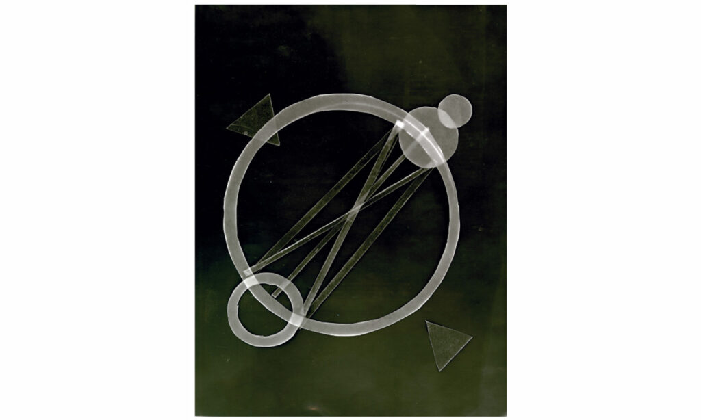 Articuli - one of a series of 12 unique photograms, 2016